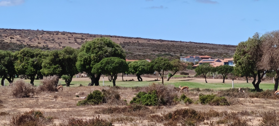 3 Bedroom Property for Sale in Langebaan Country Estate Western Cape